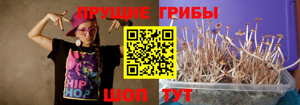 Галлюциногенные грибы мухоморы Новосибирск