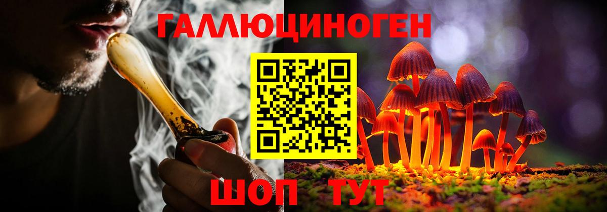 Новосибирск  Псилоцибиновые грибы мицелий  Вход с VPN 